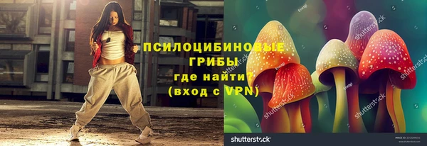 бутират Инсар