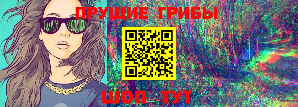 Галлюциногенные грибы Psilocybe Снежинск