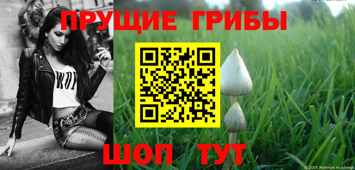 Псилоцибиновые грибы Magic Shrooms  Псилоцибиновые грибы Cubensis  Снежинск  Вход с VPN 